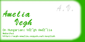 amelia vegh business card